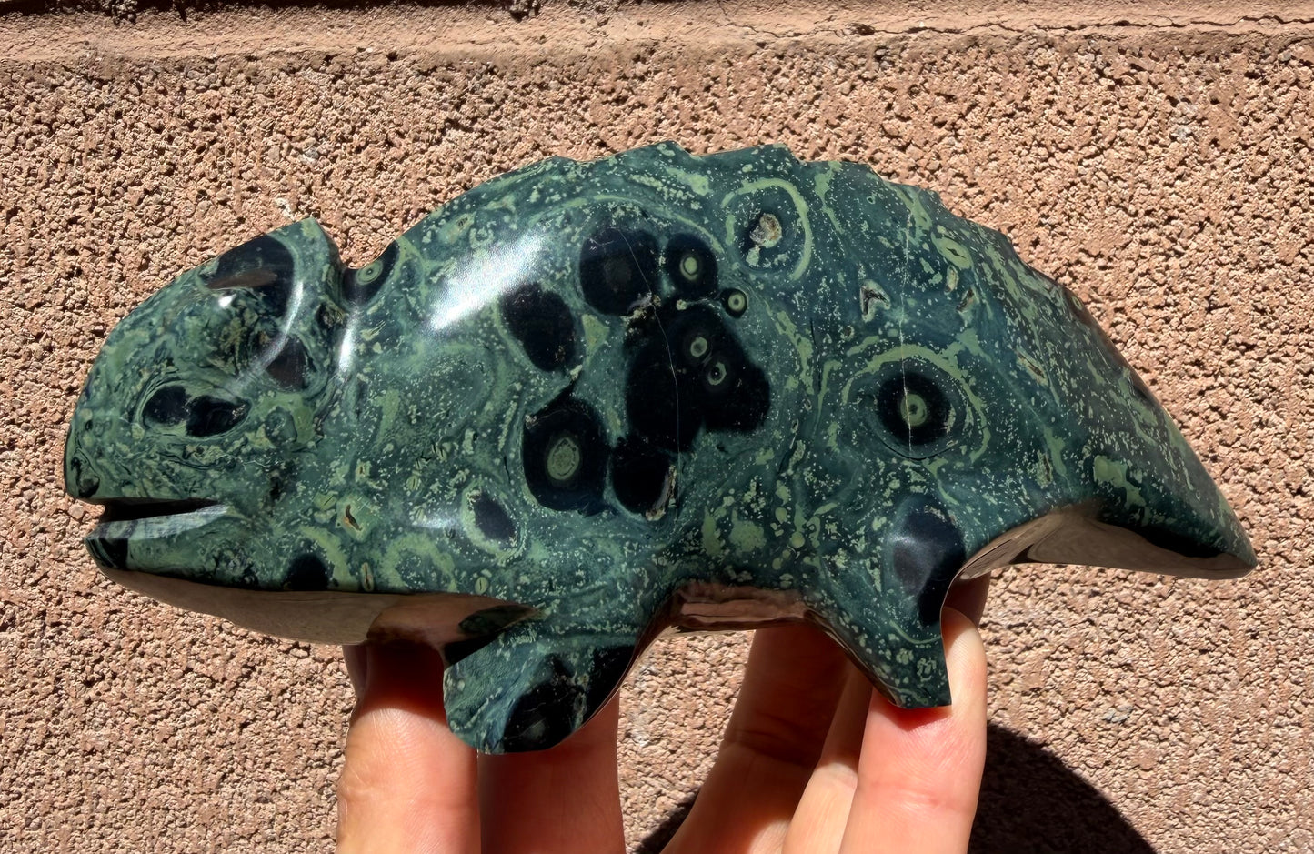 Baby Kambaba Jasper Chameleon