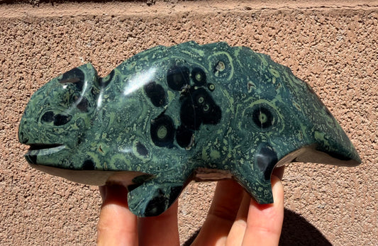 Baby Kambaba Jasper Chameleon