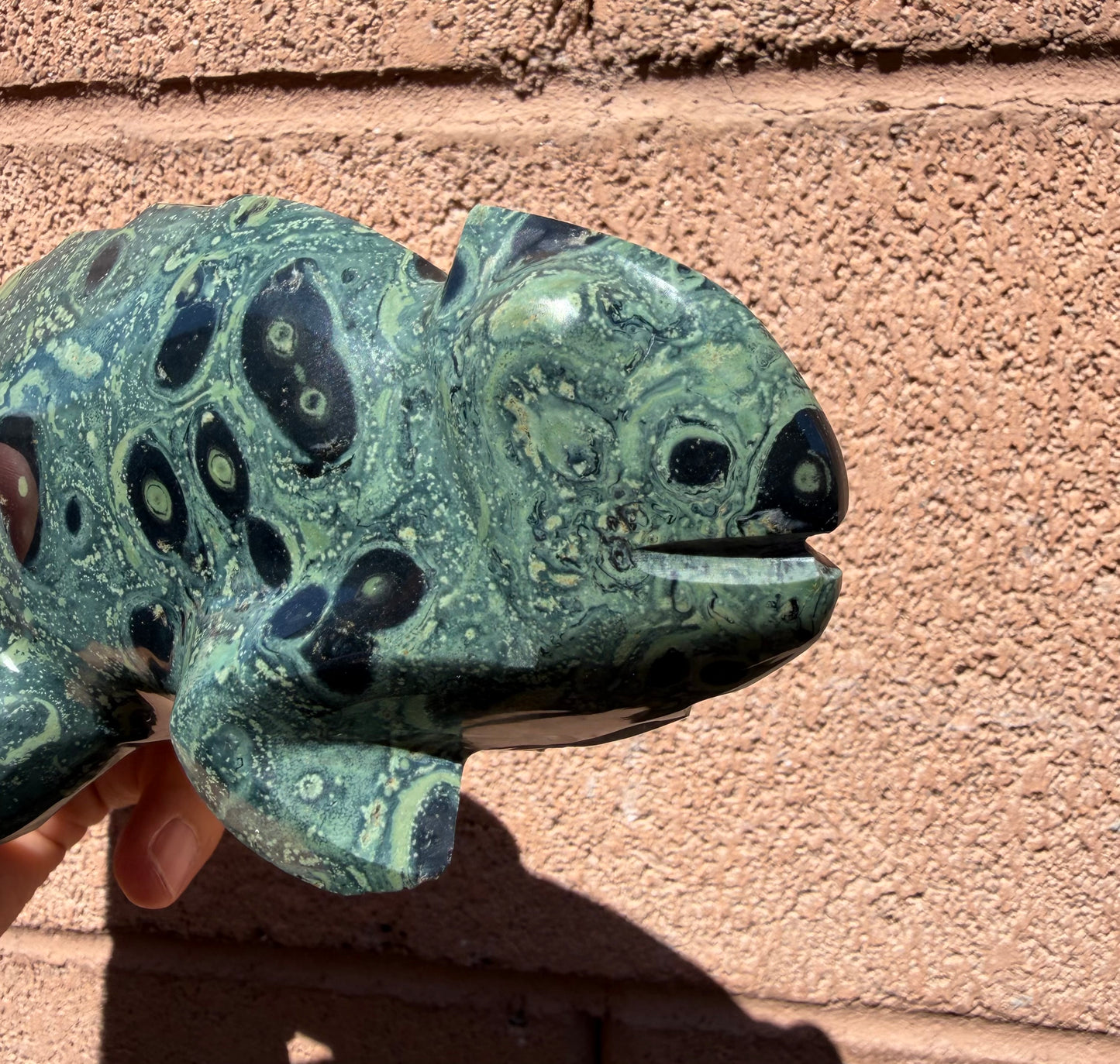 Baby Kambaba Jasper Chameleon