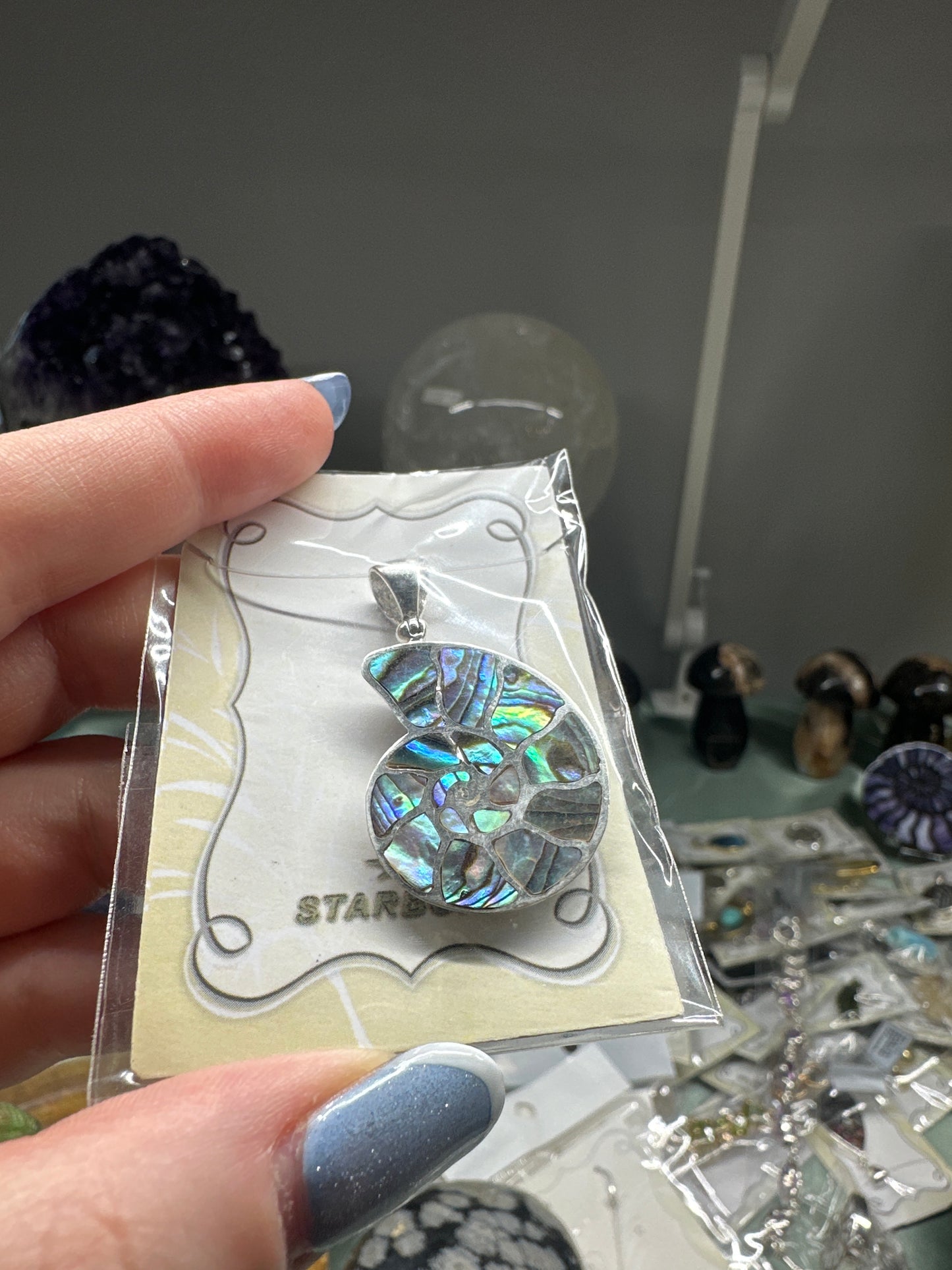 Abalone on Silver