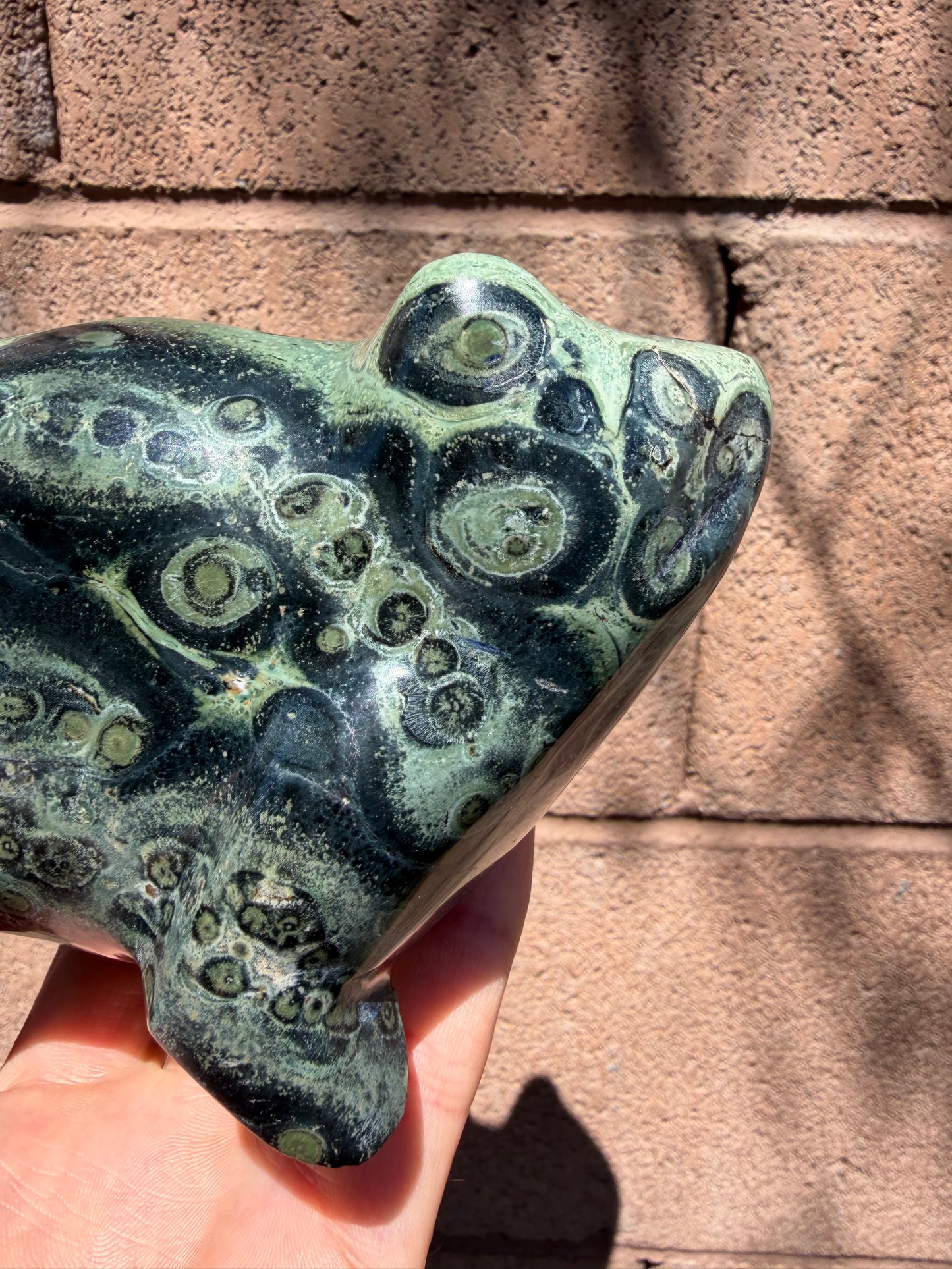 Kambaba Jasper Frog