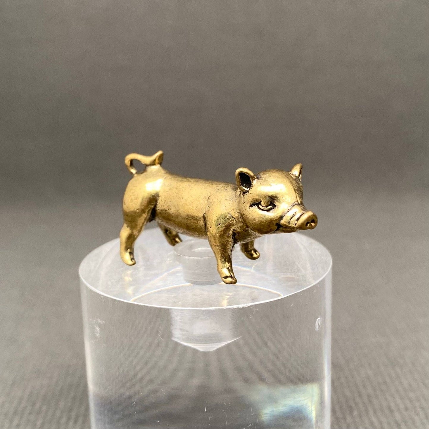 Brass Piglet Crafts Decoration Desktop Ornaments