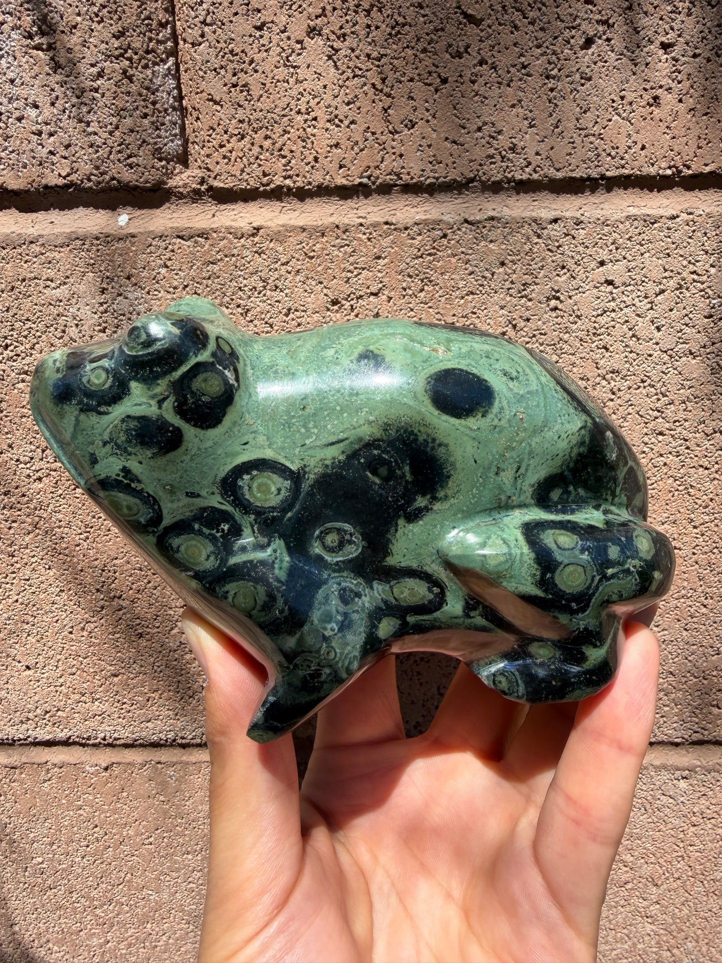 Kambaba Jasper Frog
