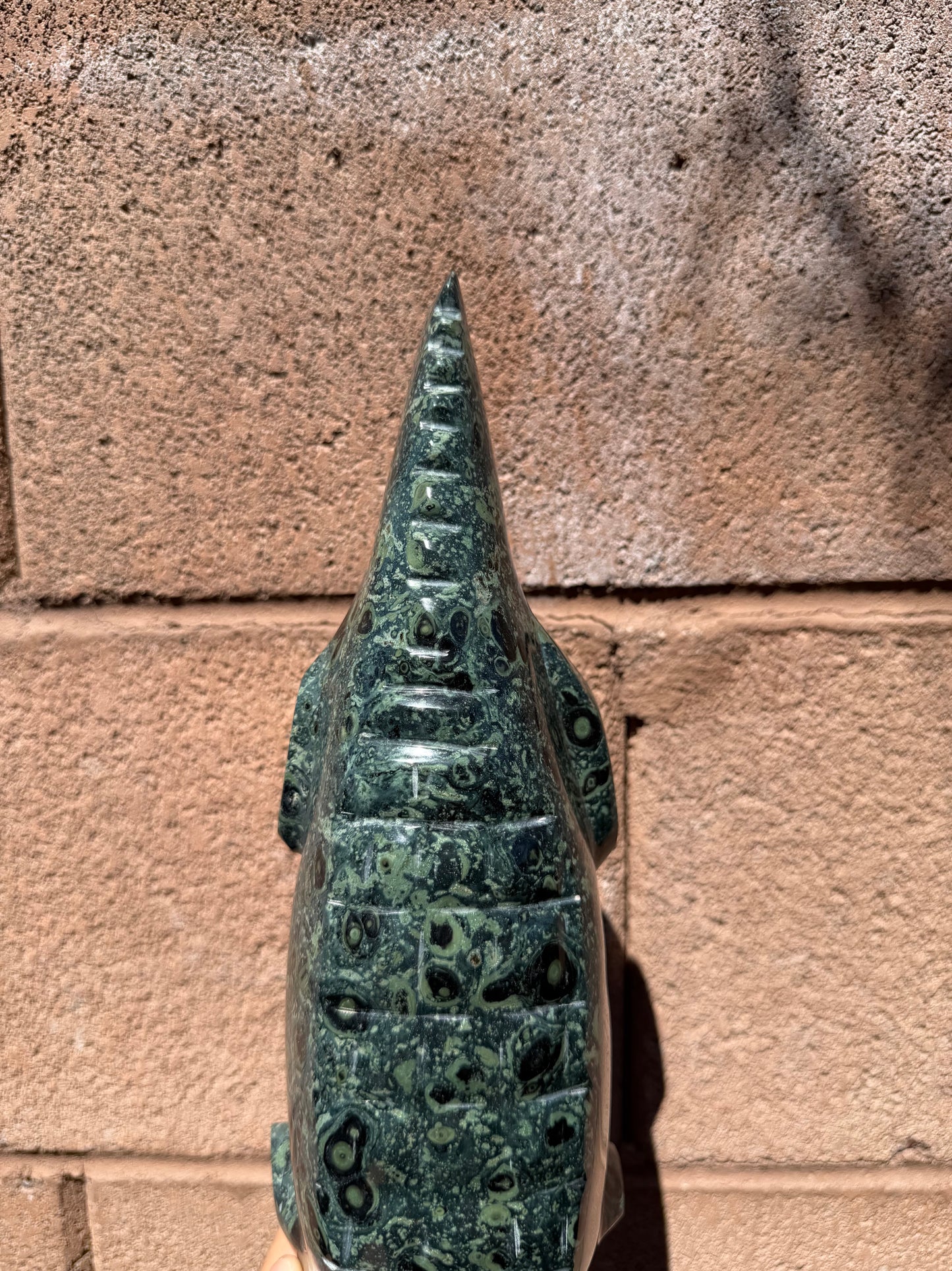 Kambaba Jasper Crocodile