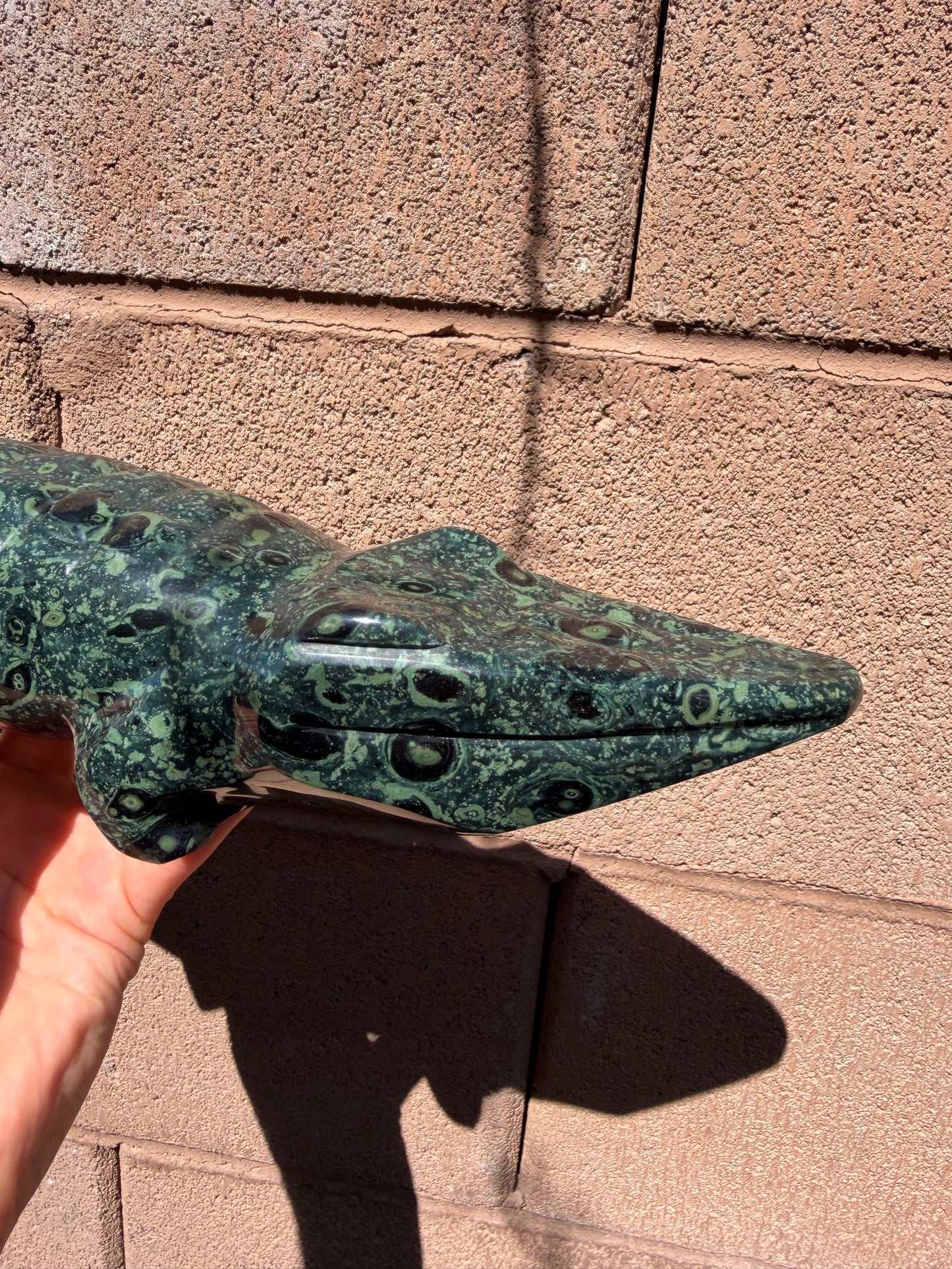 Kambaba Jasper Crocodile