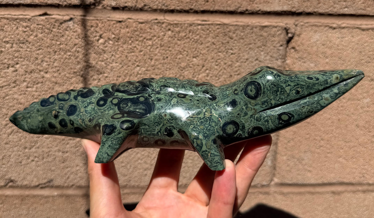 Mr. Pinky Moretti - Kambaba Jasper Crocodile