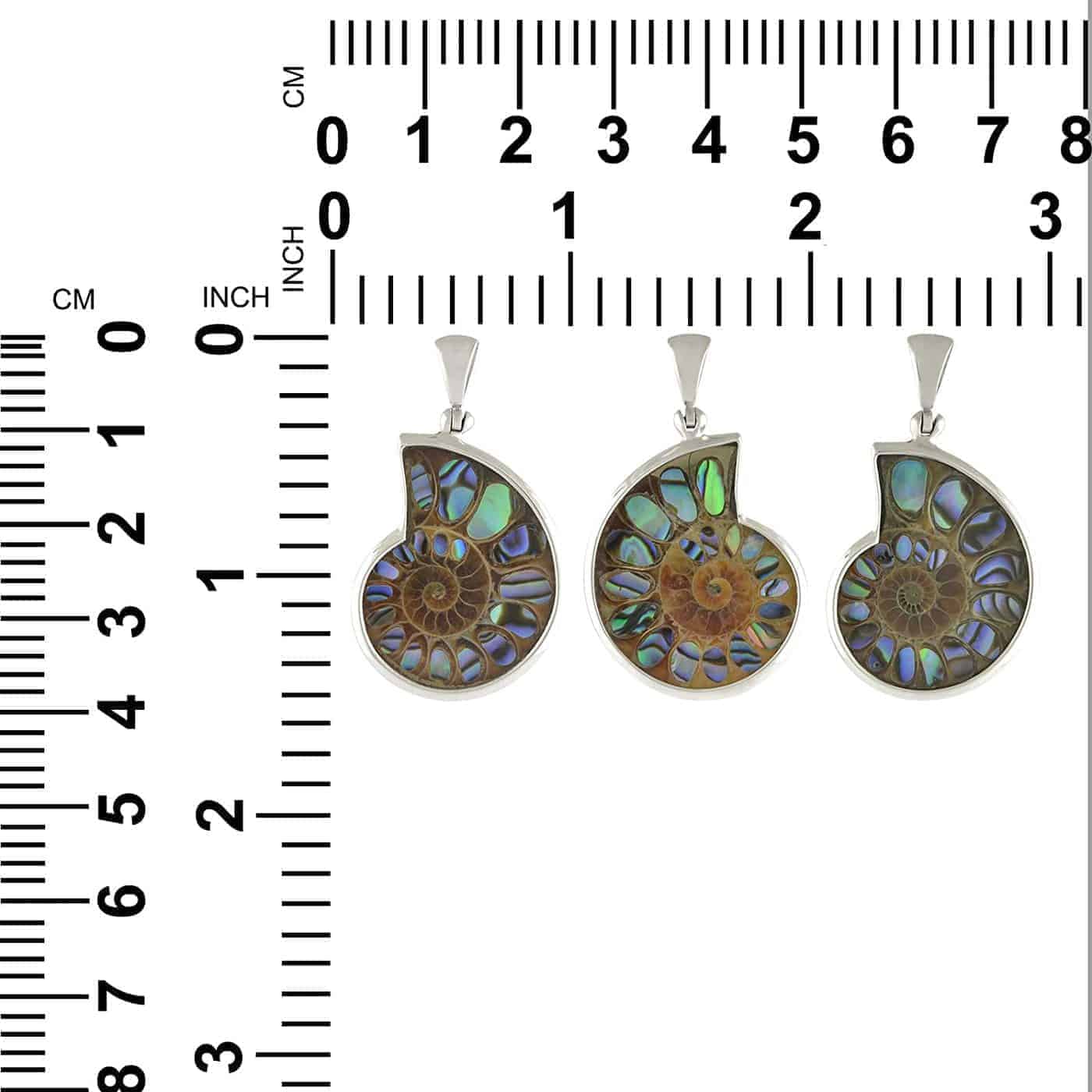 Starborn Ammonite with Abalone Shell Inlay Pendant in Sterling Silver - Small