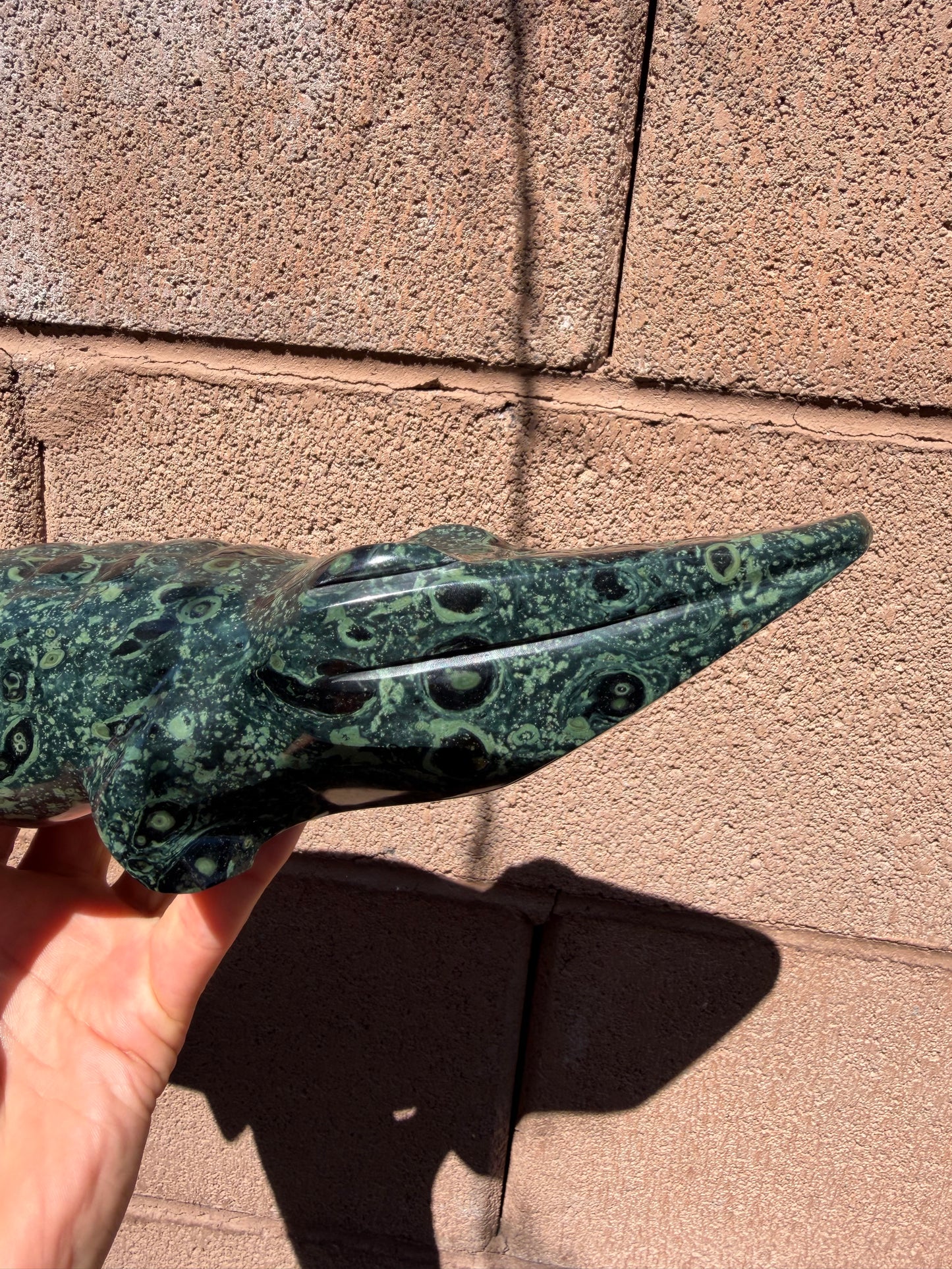 Kambaba Jasper Crocodile