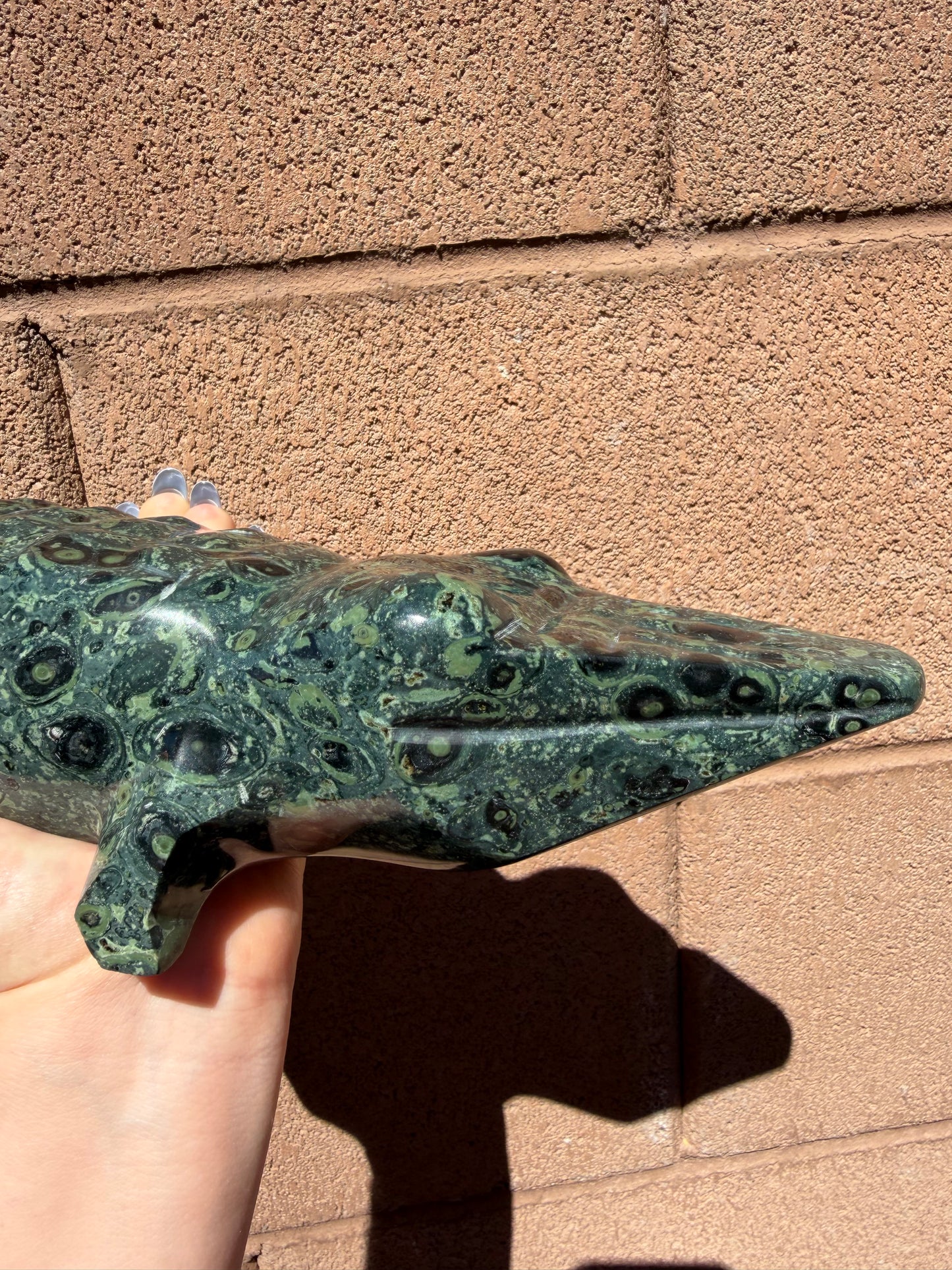 Kambaba Jasper Crocodile