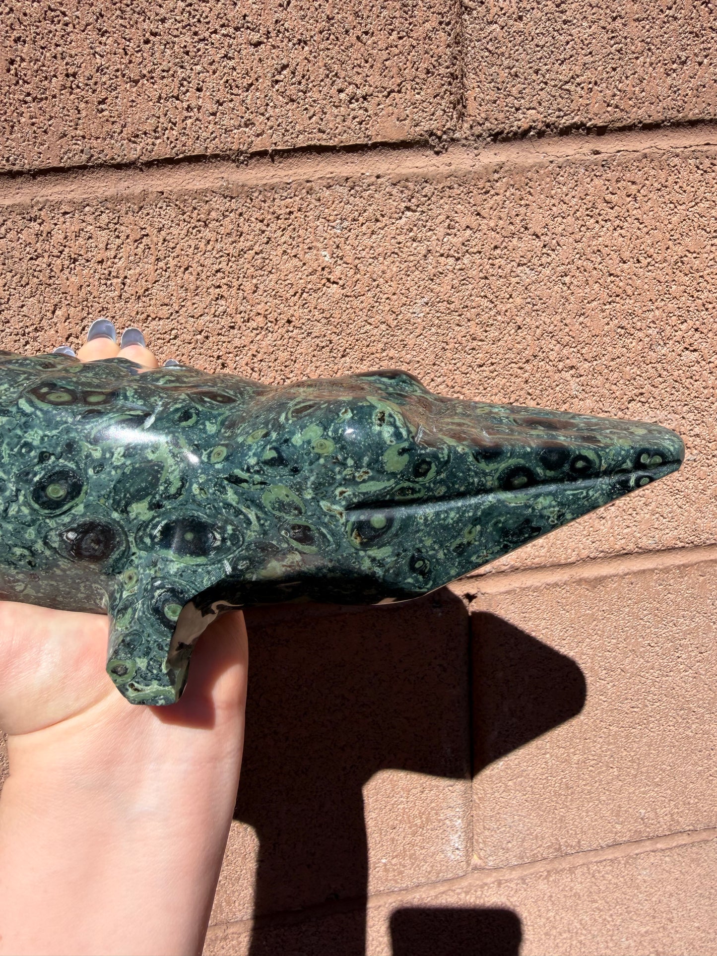 Kambaba Jasper Crocodile
