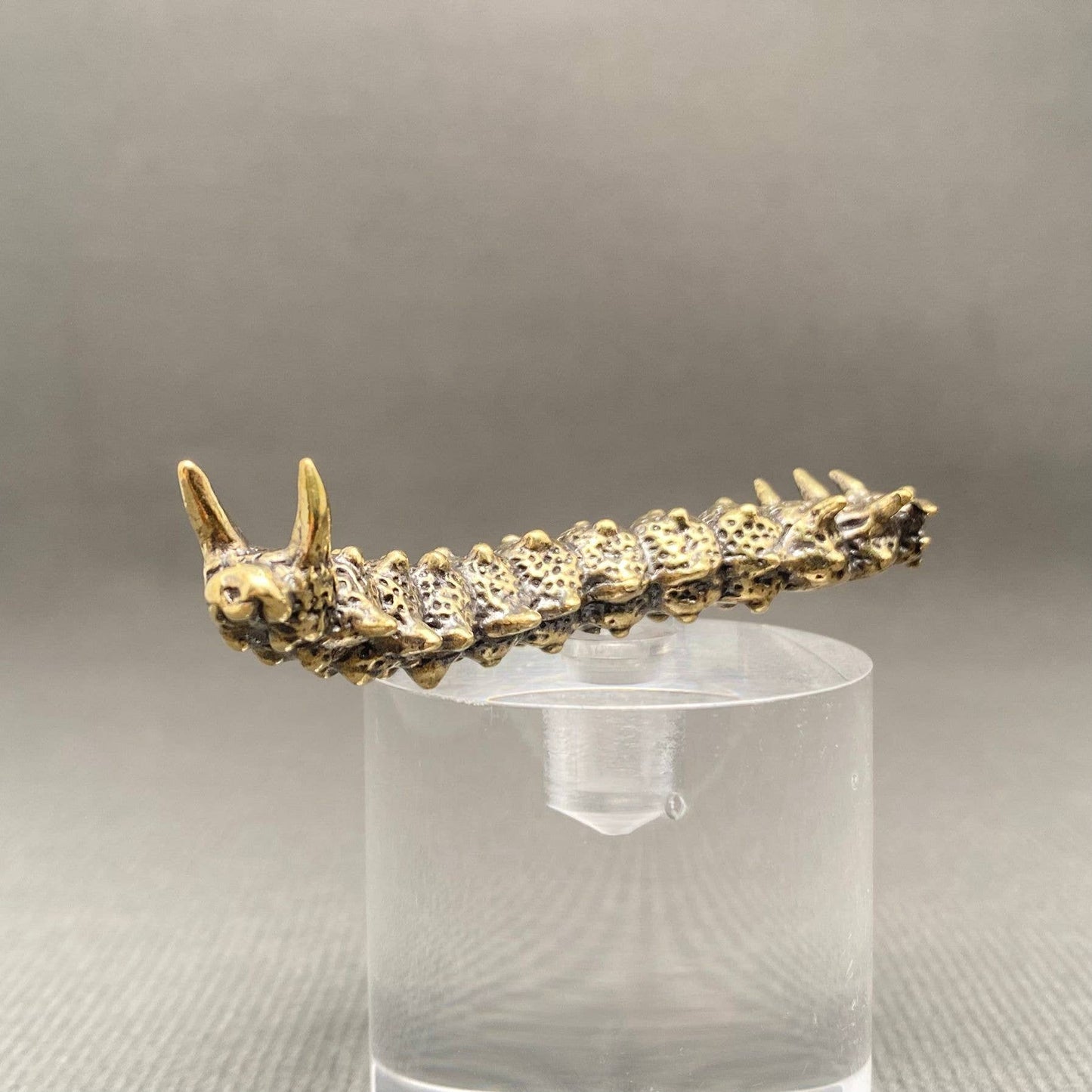 Brass Caterpillar Crafts Desktop Ornaments Decoration