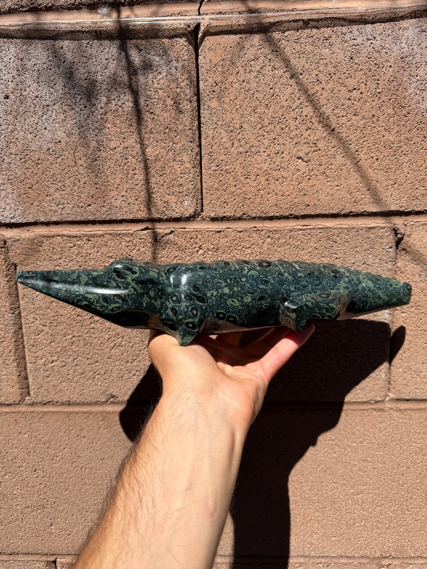 Kambaba Jasper Crocodile