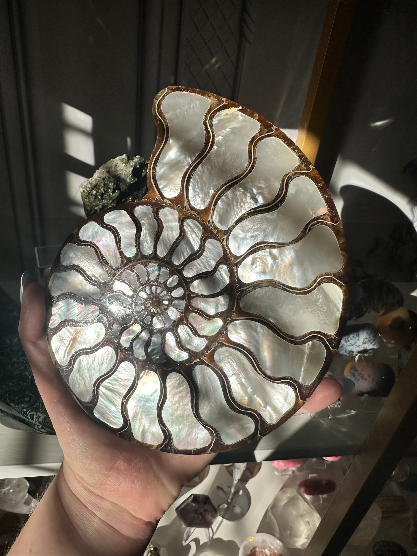 Mother of Pearl Inlaid in Ammonite