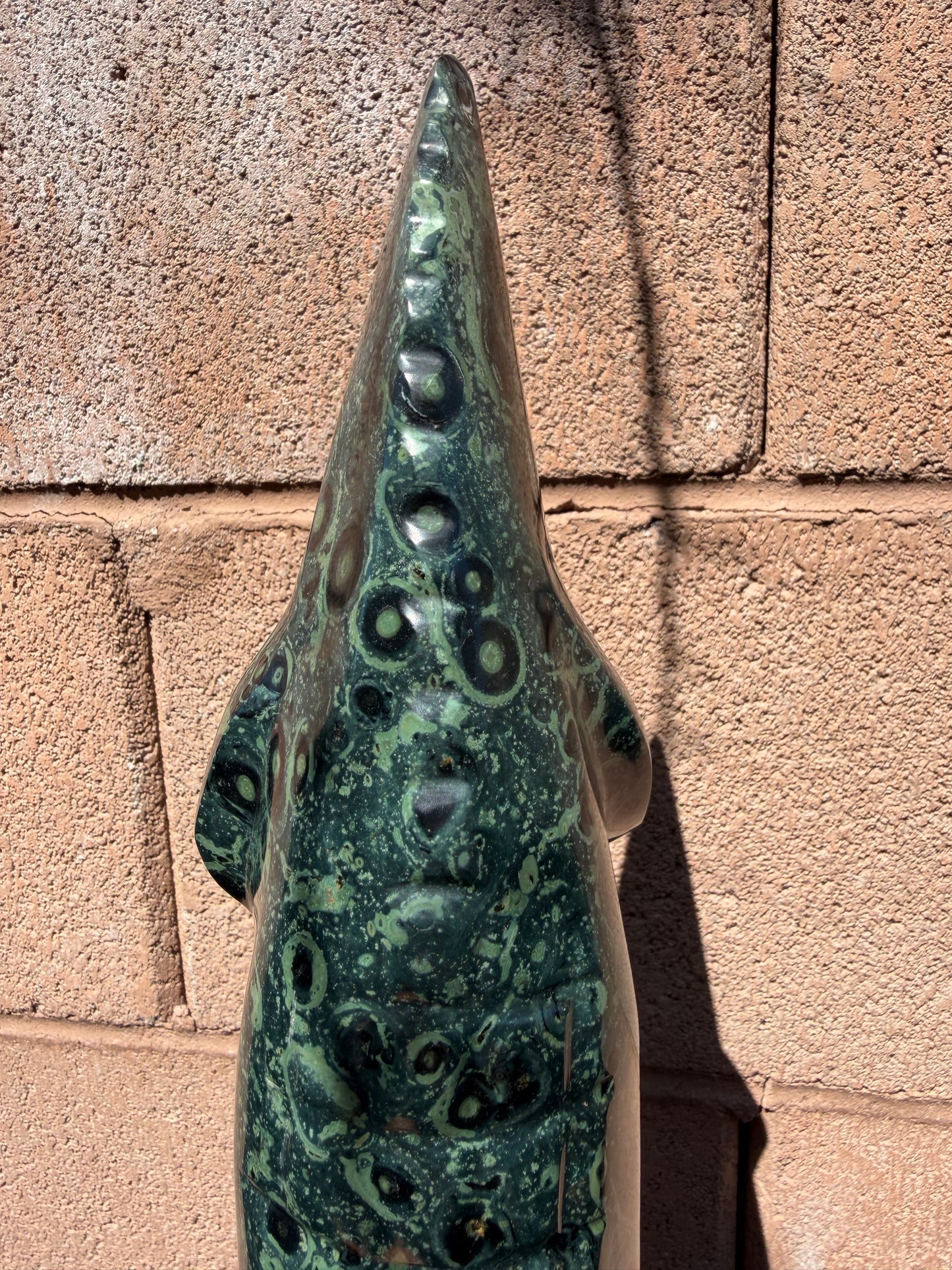 Kambaba Jasper Crocodile