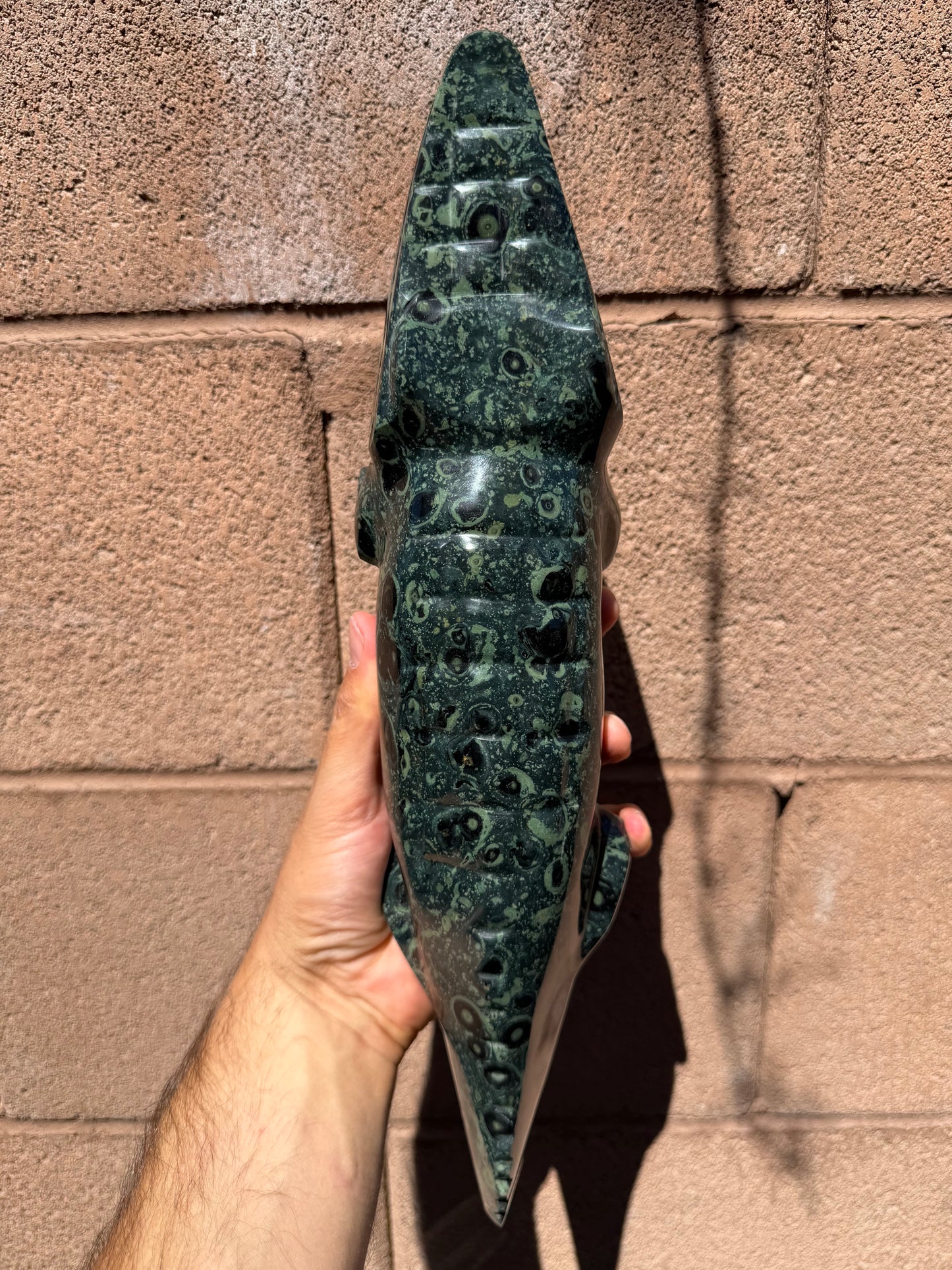 Kambaba Jasper Crocodile
