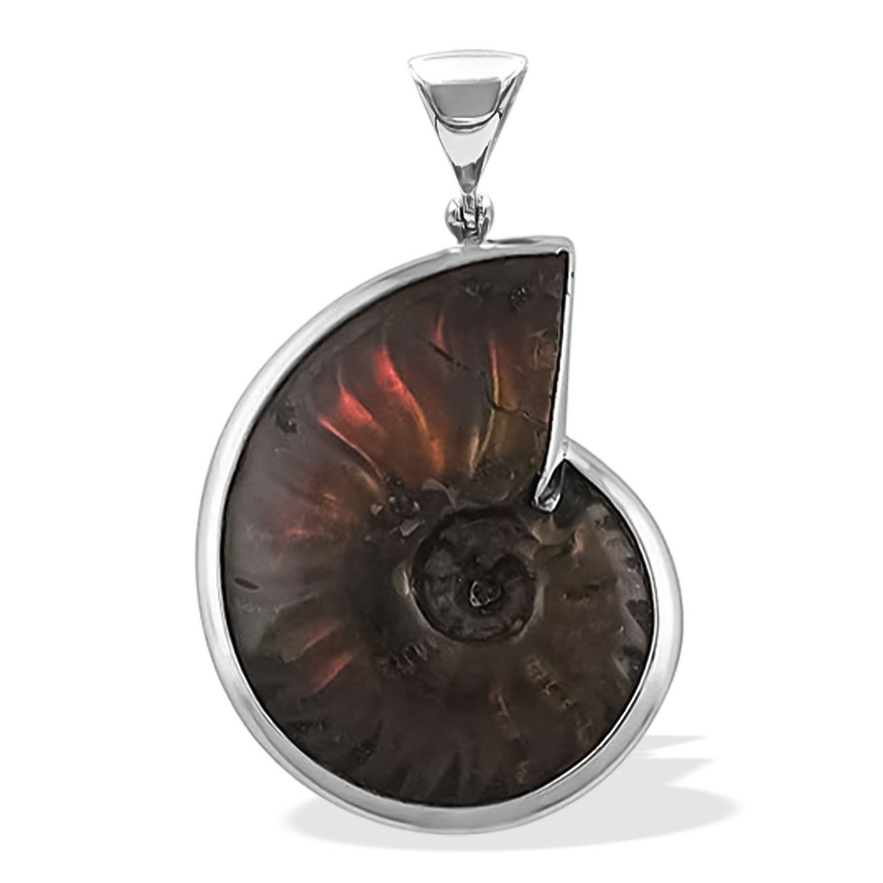 Starborn Fossilized Red Iridescent Ammonite Pendant in Sterling Silver