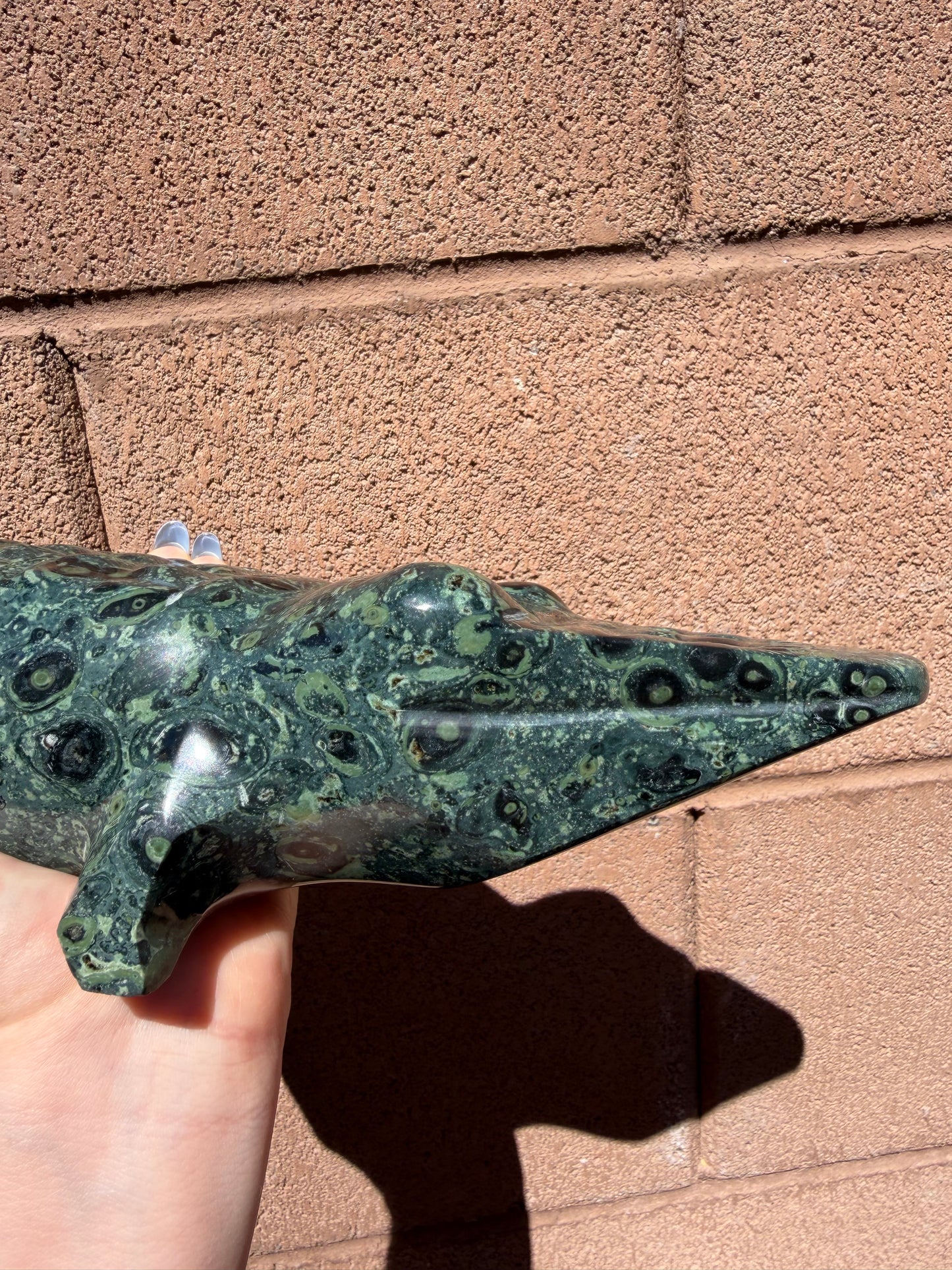 Kambaba Jasper Crocodile