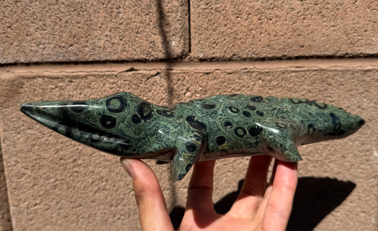 Mr. Pinky Moretti - Kambaba Jasper Crocodile
