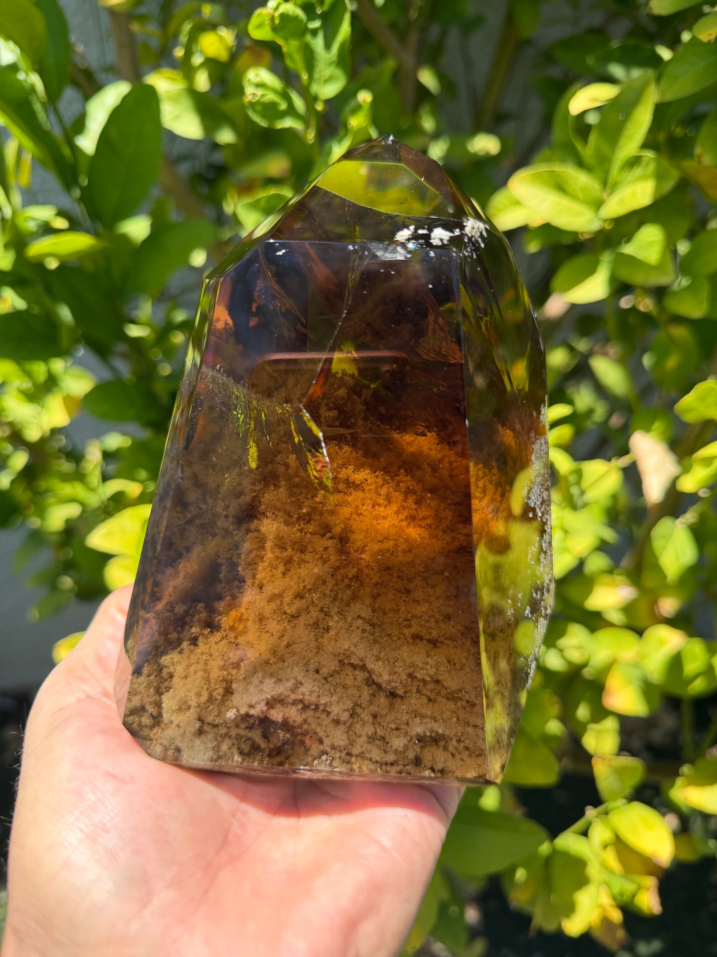 Cognac Lodolite/Garden Quartz