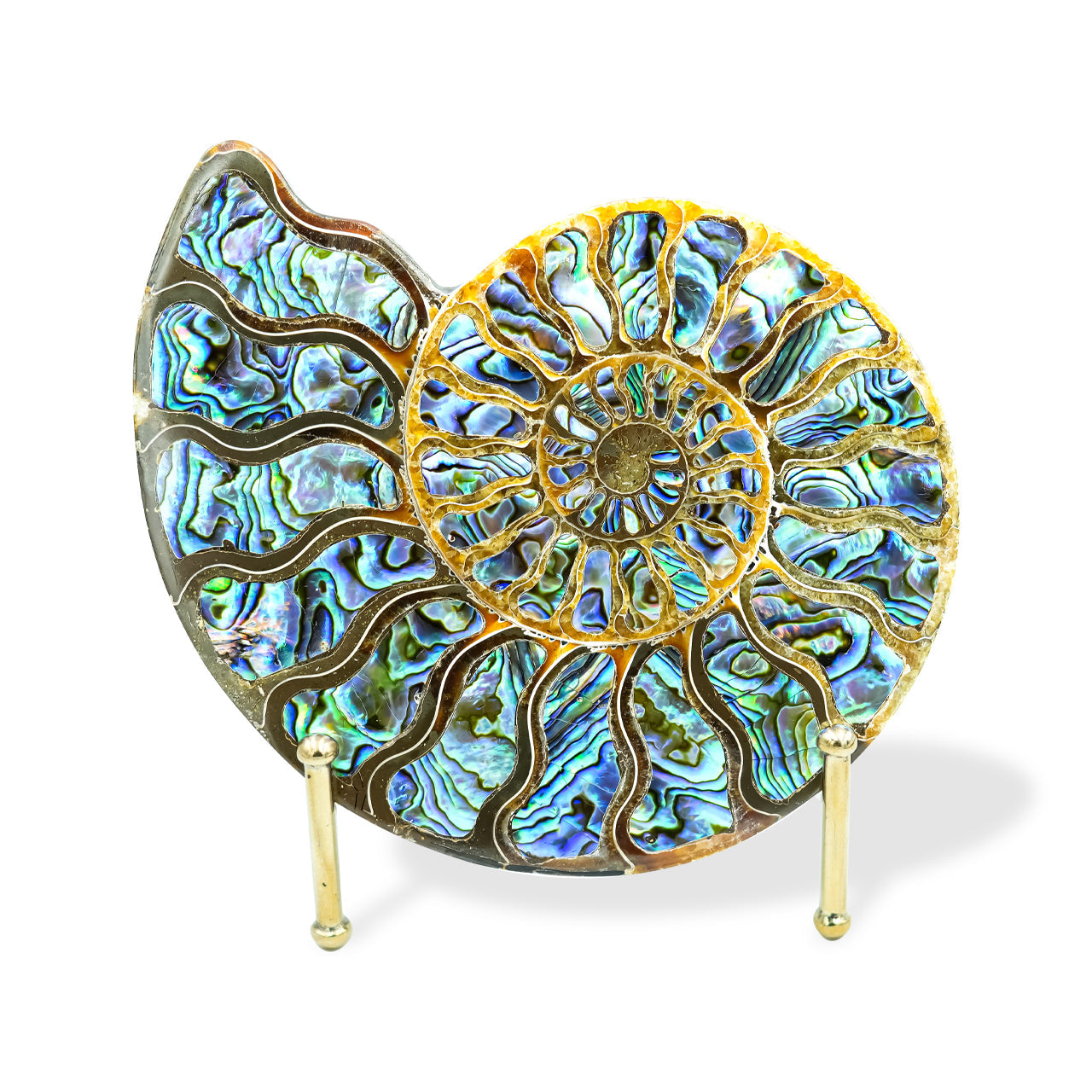 Starborn Ammonite Half with Abalone Shell Inlay 12-13cm Display Stone - 1 piece
