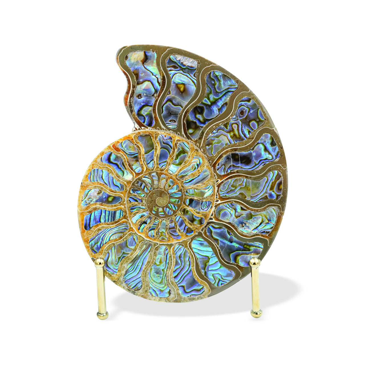 Starborn Ammonite Half with Abalone Shell Inlay 12-13cm Display Stone - 1 piece
