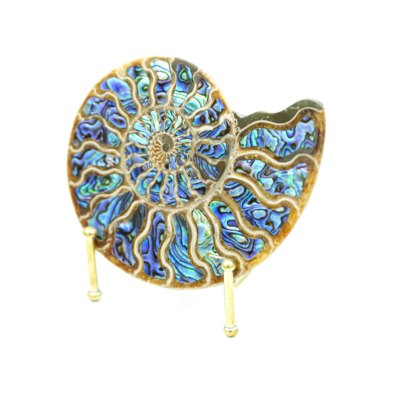 Starborn Ammonite Half with Abalone Shell Inlay 12-13cm Display Stone - 1 piece