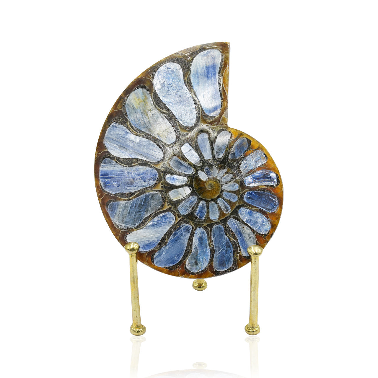 Starborn Ammonite with Kyanite Inlay Display Stone - 1 Piece