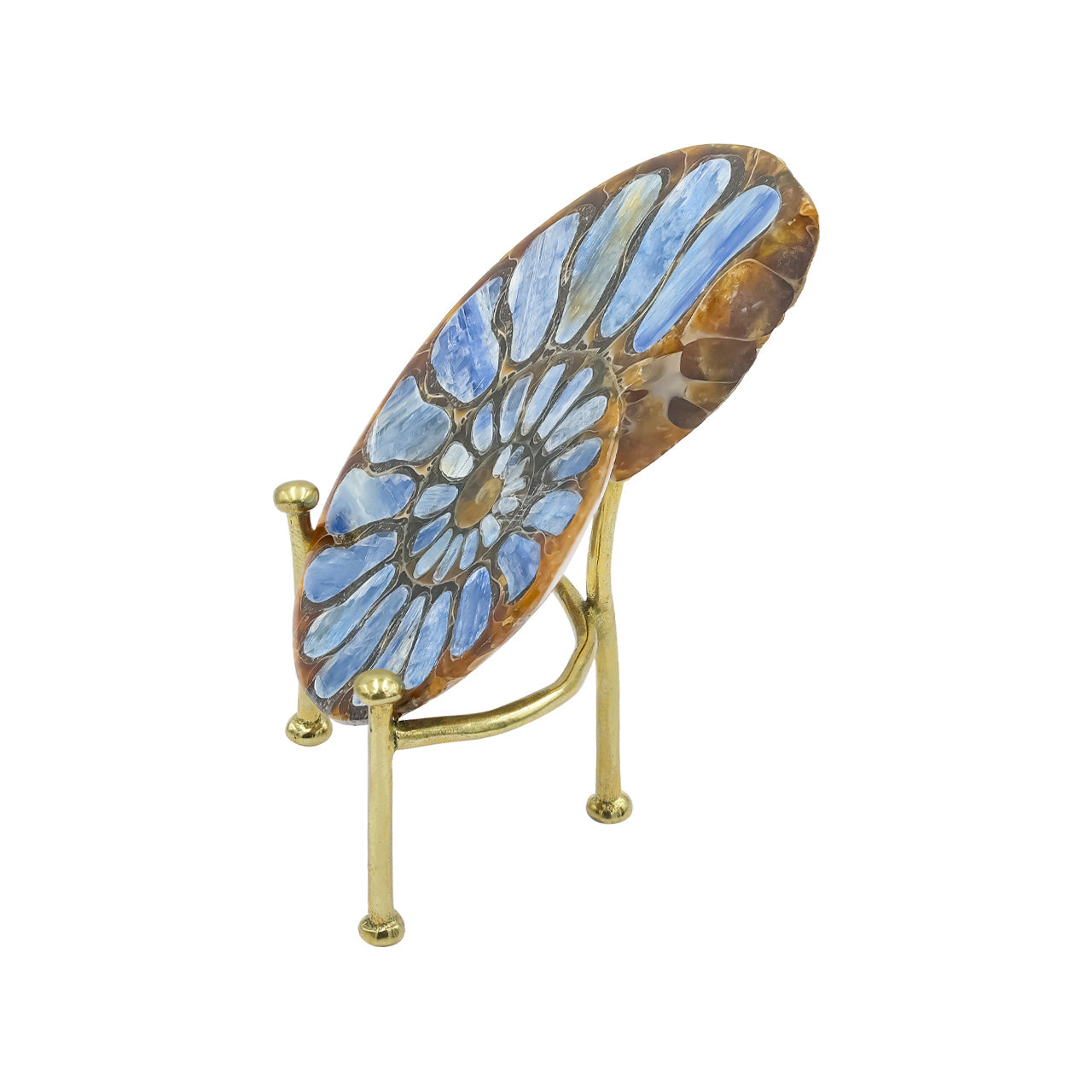 Starborn Ammonite with Kyanite Inlay Display Stone - 1 Piece