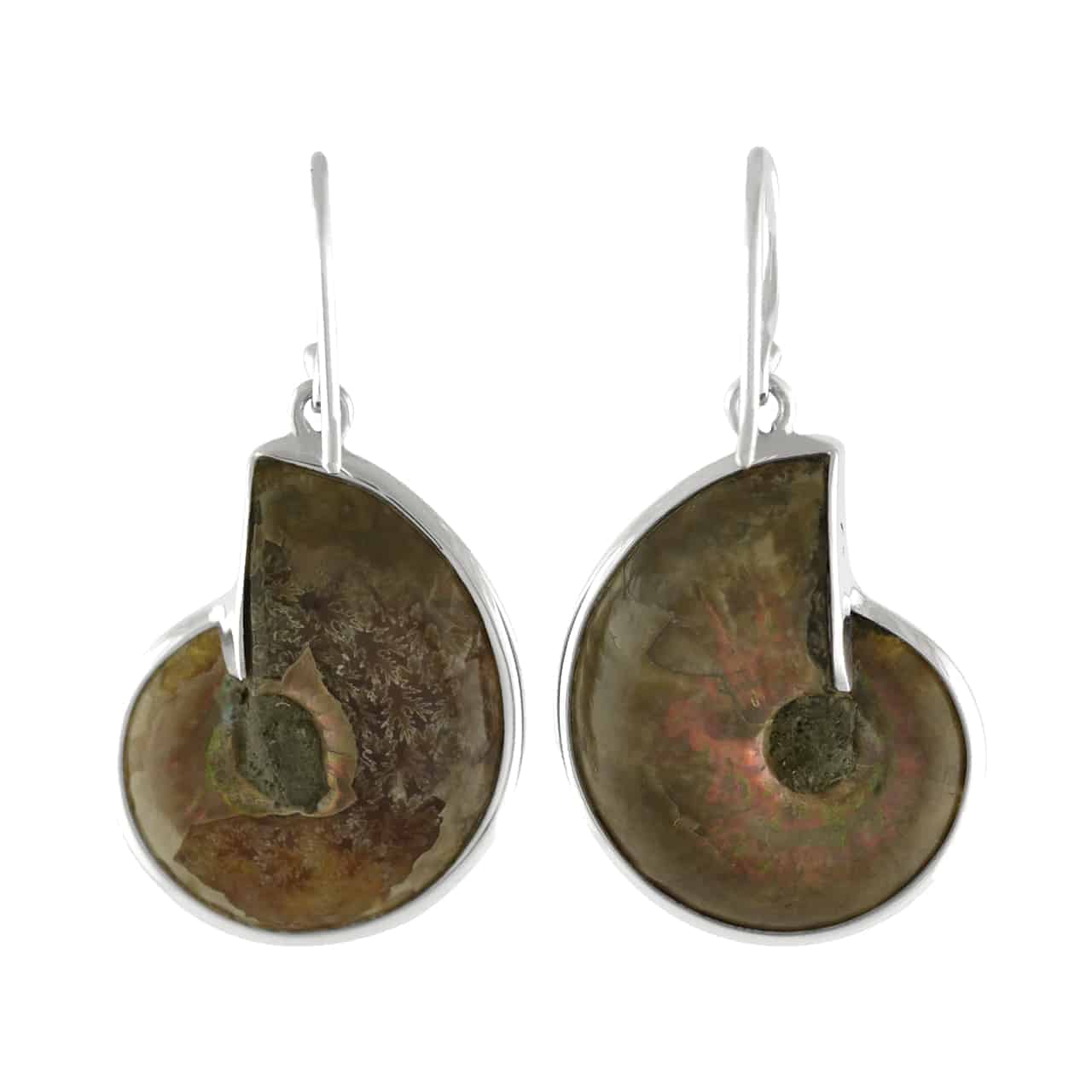 Starborn Ammonite with Abalone Shell Inlay Earrings in Sterling Silver - Small