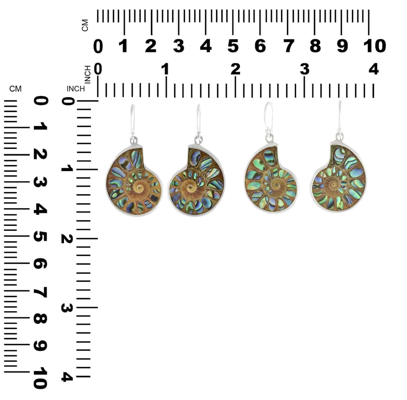 Starborn Ammonite with Abalone Shell Inlay Earrings in Sterling Silver - Small