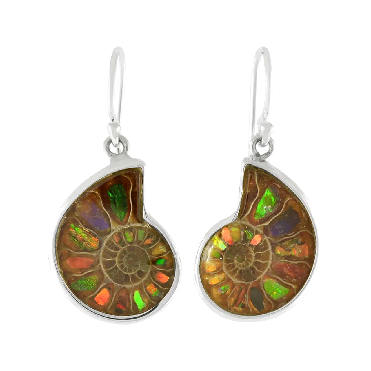 Starborn Ammolite inlaid Ammonite Earrings - Small