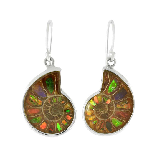 Starborn Ammolite inlaid Ammonite Earrings - Small