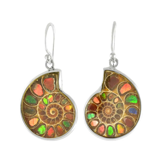 Starborn Ammolite inlaid Ammonite Earrings - Small