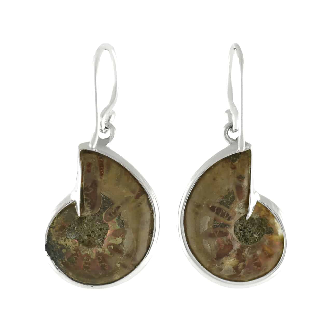 Starborn Ammolite inlaid Ammonite Earrings - Small