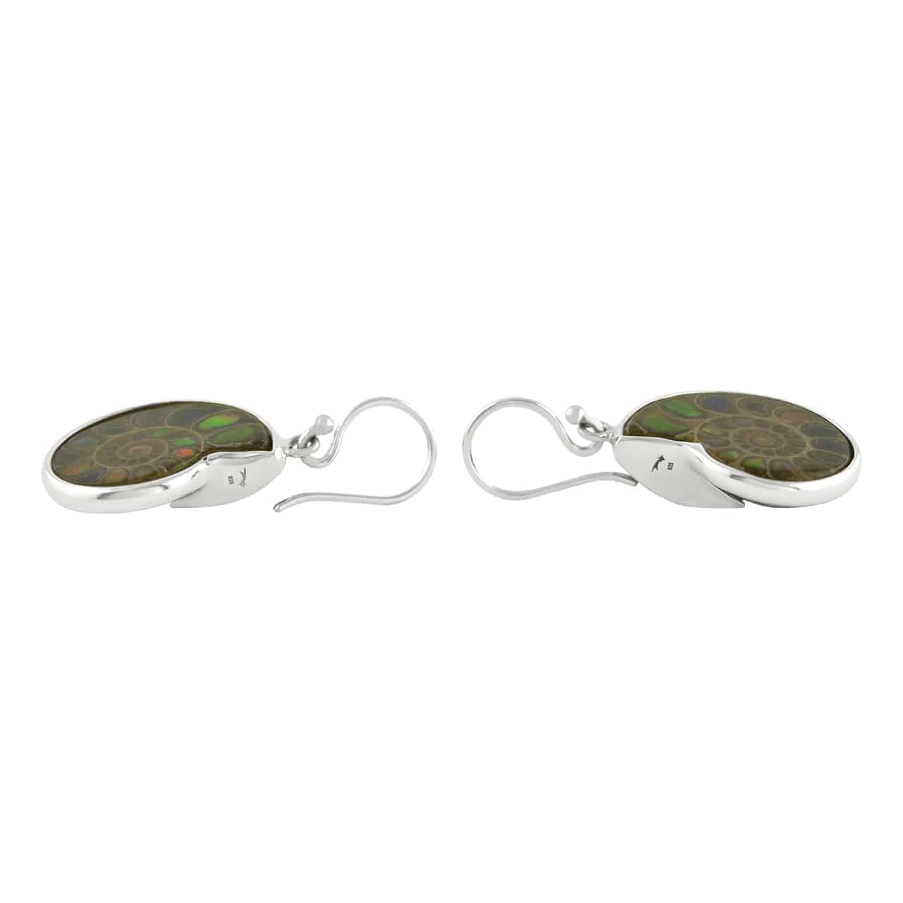 Starborn Ammolite inlaid Ammonite Earrings - Small
