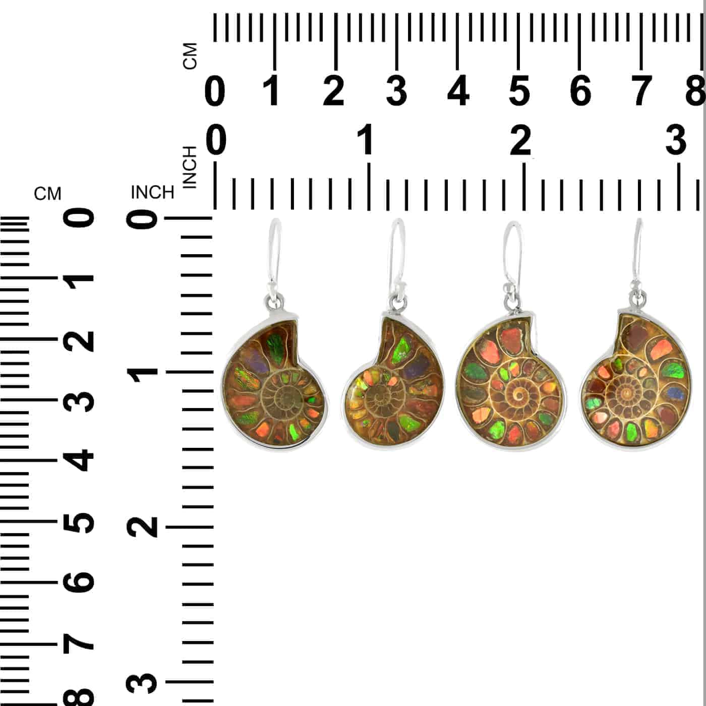 Starborn Ammolite inlaid Ammonite Earrings - Small