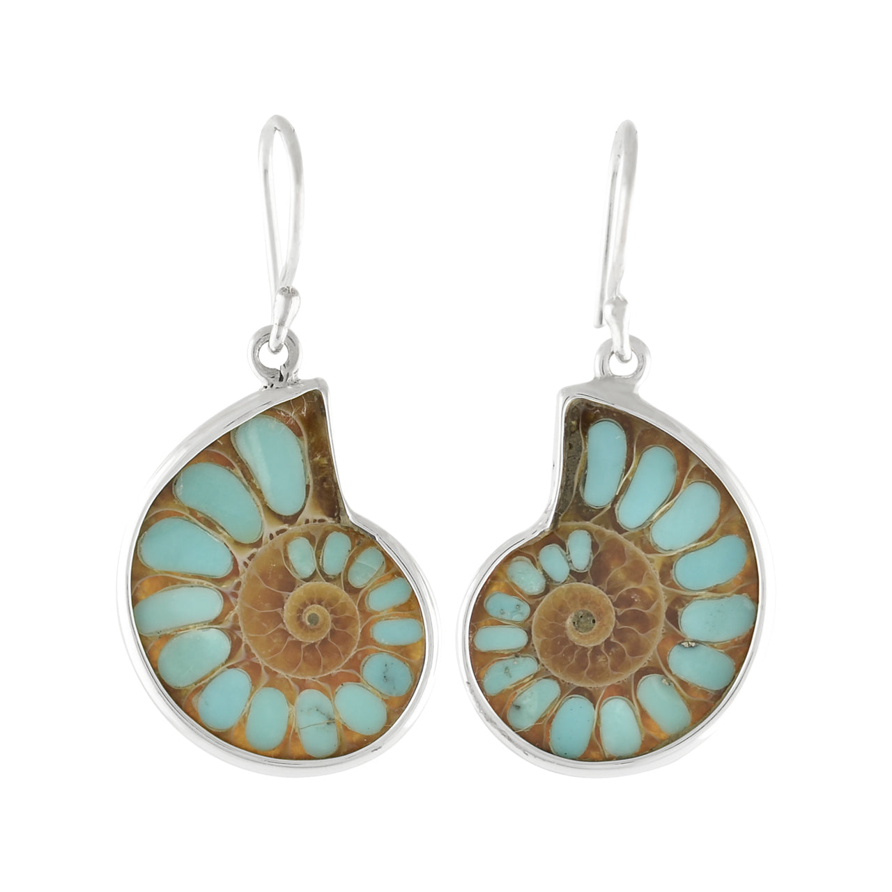 Starborn Ammonite with Turquoise Inlay Earrings in Sterling Silver