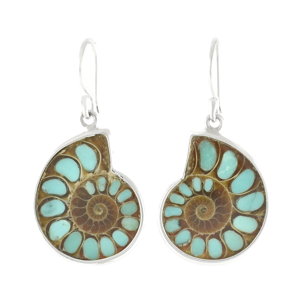 Starborn Ammonite with Turquoise Inlay Earrings in Sterling Silver