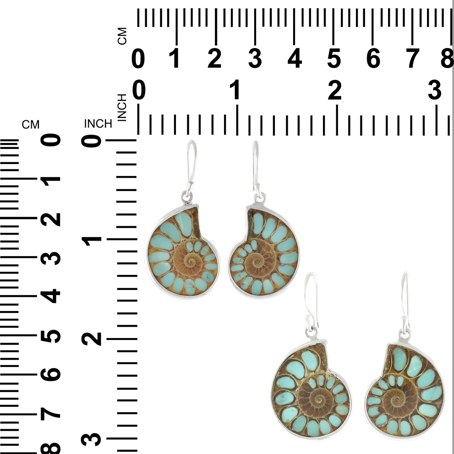 Starborn Ammonite with Turquoise Inlay Earrings in Sterling Silver