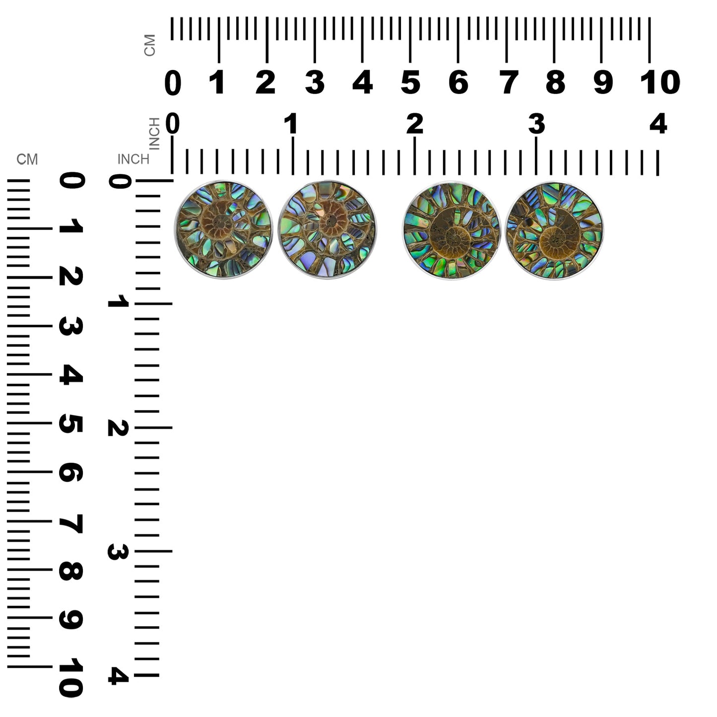 Starborn Ammonite with Abalone Shell Inlay Post Style Earrings in Sterling Silver