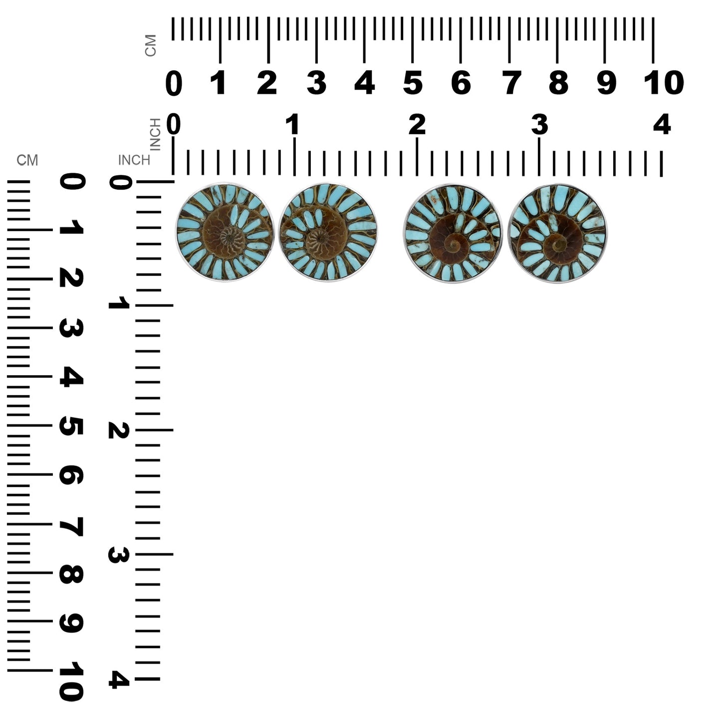Starborn Ammonite with Sleeping Beauty Turquoise Inlay Post Earrings in Sterling Silver