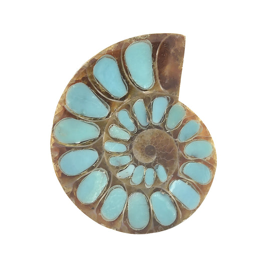 Starborn Ammonite with Turquoise Inlay Cabochon 33 - 35 mm, 1 Piece