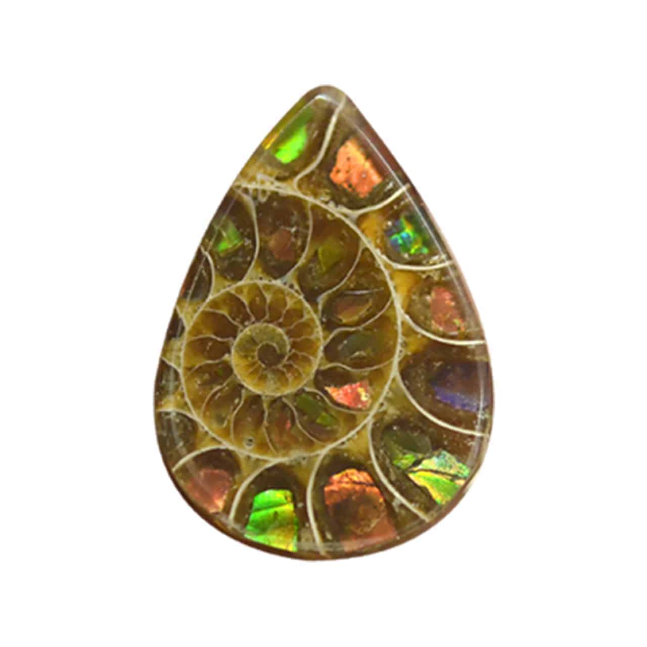 Starborn Ammonite with Ammolite Inlay Cabochon (25mmx18mm) - 1 Piece