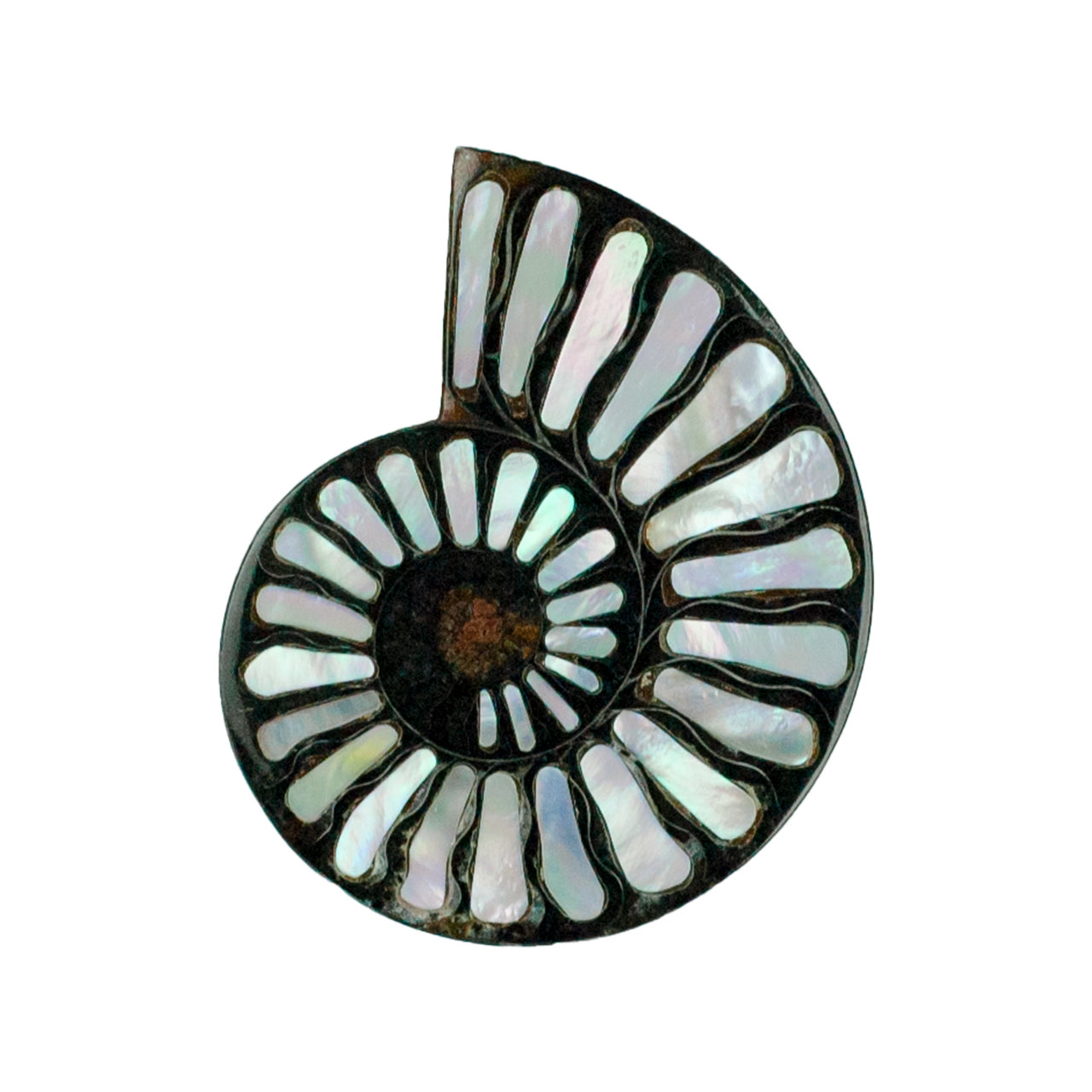 Starborn Ammonite with Mother of Pearl Inlay Cabochon 46 - 48 mm, 1 Piece