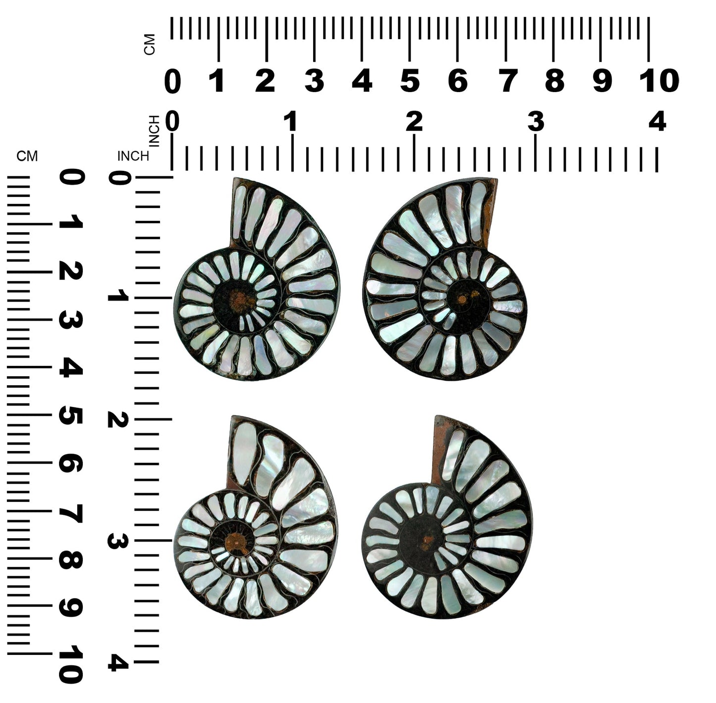 Starborn Ammonite with Mother of Pearl Inlay Cabochon 46 - 48 mm, 1 Piece
