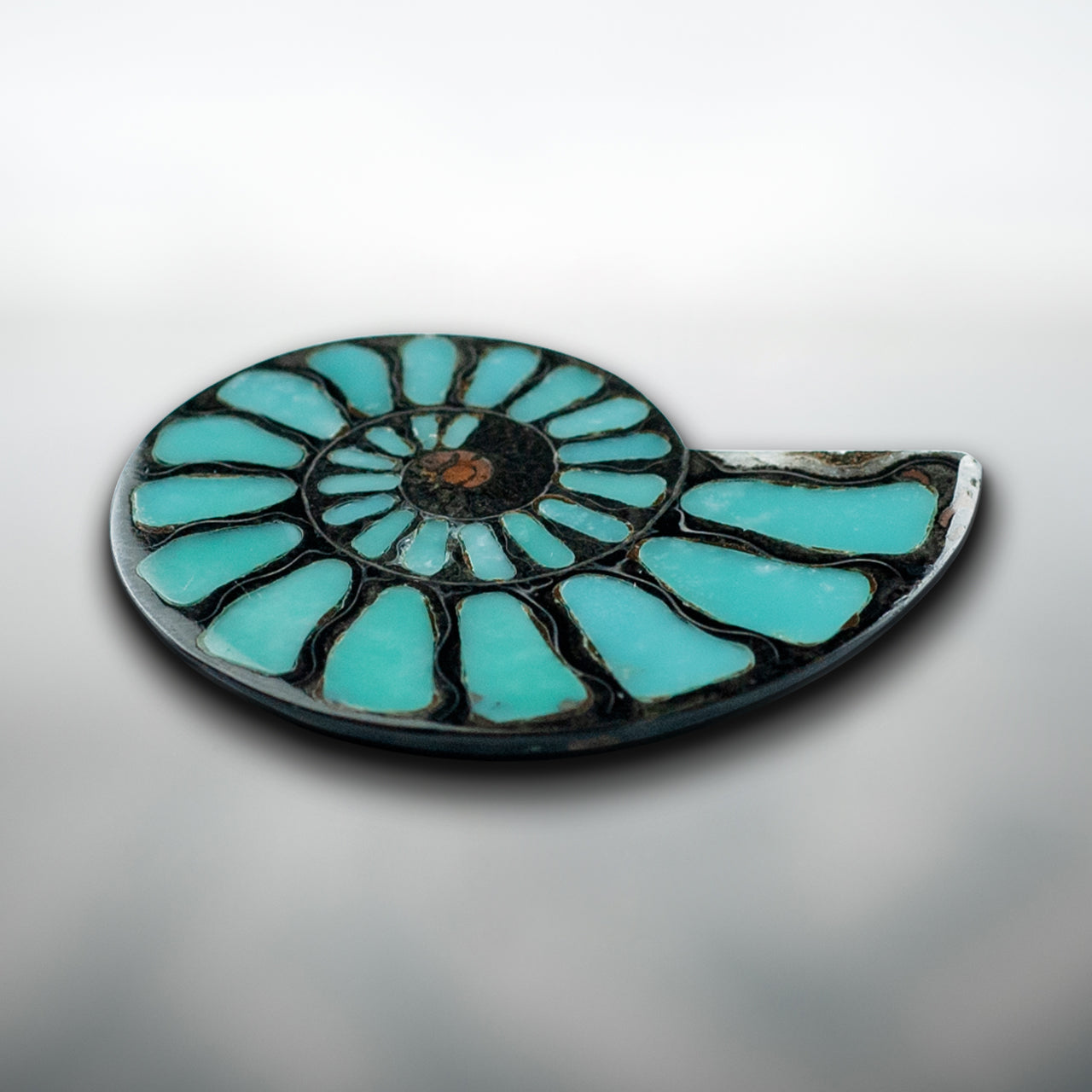 Starborn Ammonite Half with Turquoise Inlay Cabochon 48 - 50mm, 1 Piece