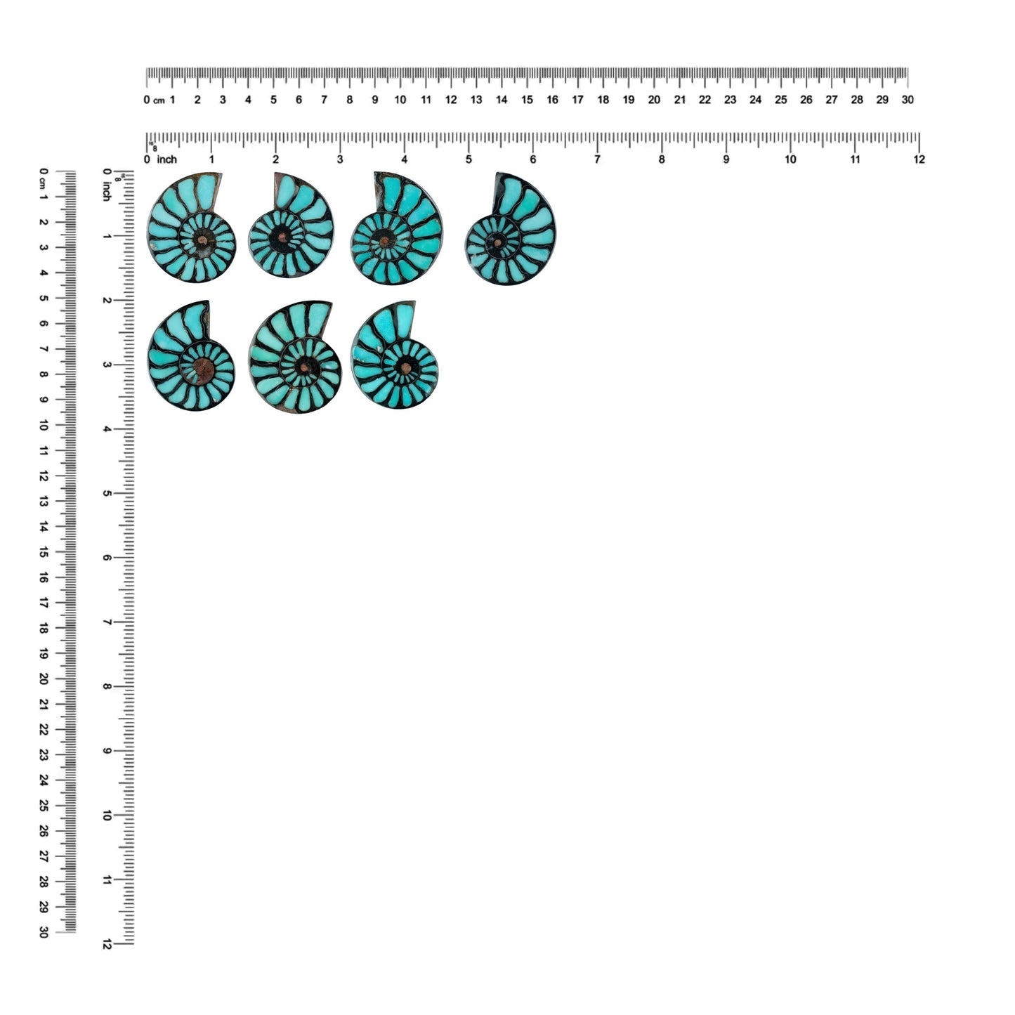 Starborn Ammonite Half with Turquoise Inlay Cabochon 48 - 50mm, 1 Piece