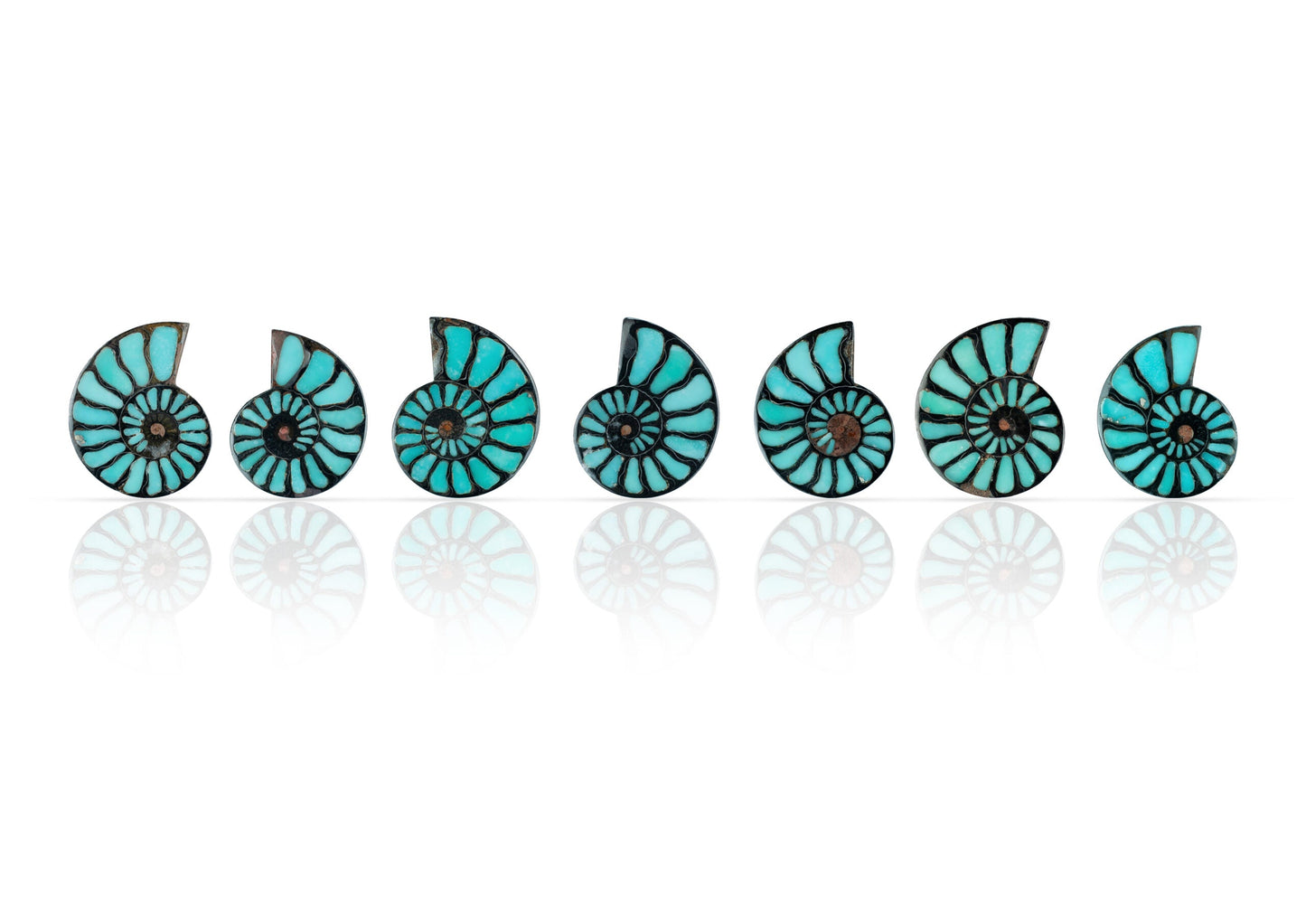 Starborn Ammonite Half with Turquoise Inlay Cabochon 48 - 50mm, 1 Piece