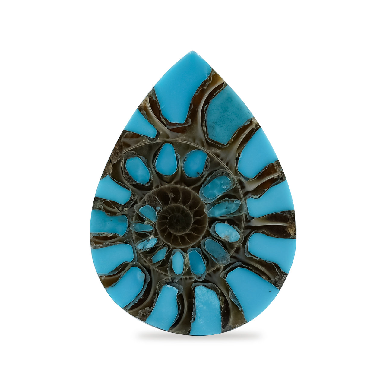 Starborn Ammonite with Turquoise Inlay Pear Cabochon 18 x 25 mm - 1 Piece