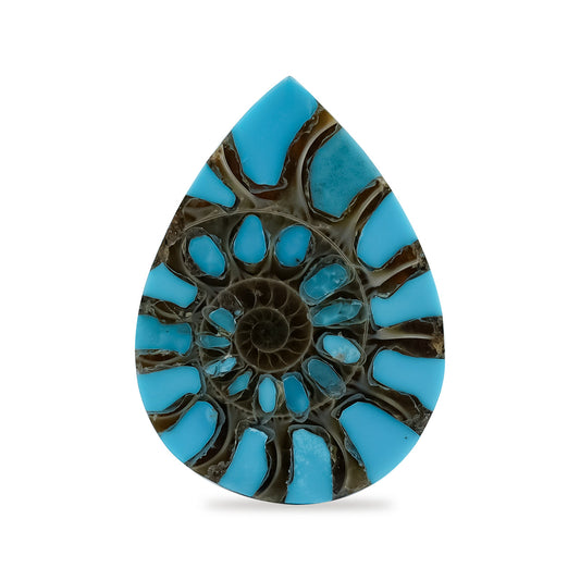Starborn Ammonite with Turquoise Inlay Pear Cabochon 18 x 25 mm - 1 Piece